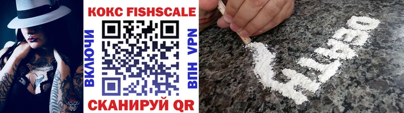 купить наркотики цена  Приморско-Ахтарск  Cocaine Fish Scale 