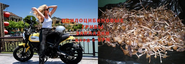 трава Медногорск