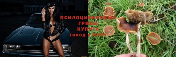 кристаллы Мегион