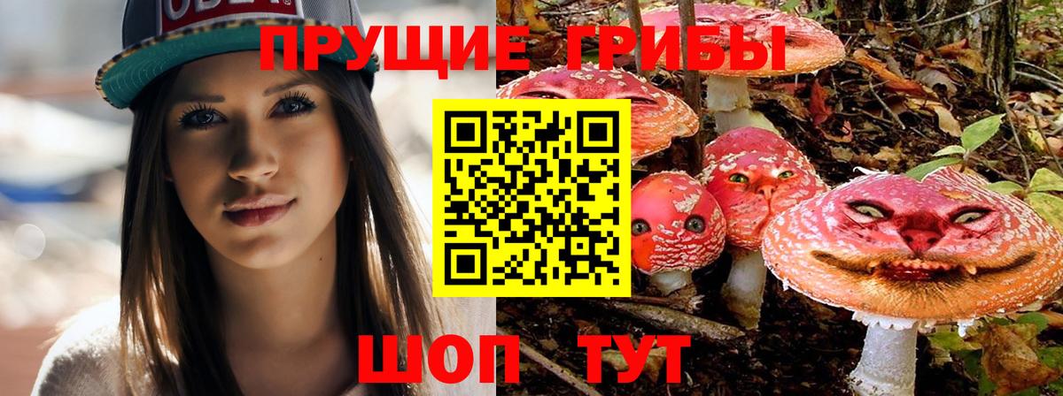 Приморско-Ахтарск  Галлюциногенные грибы GOLDEN TEACHER  Вход с VPN 